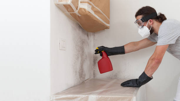 Professional Bathroom Mold Removal technician working in Williamsburg, VA