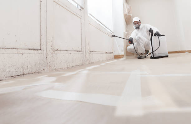 24/7 Emergency Bathroom Mold Removal experts in Williamsburg, VA